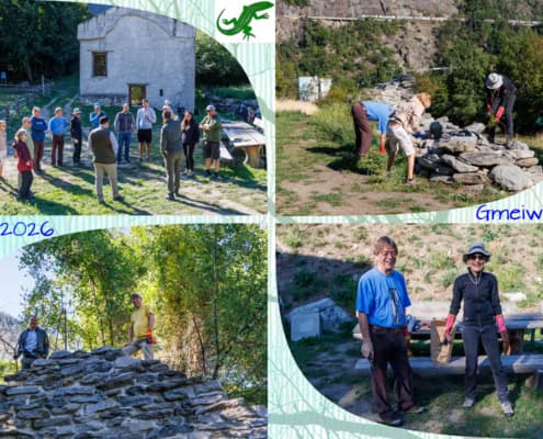 2026-09-12_Gmeiwärch Collage_002