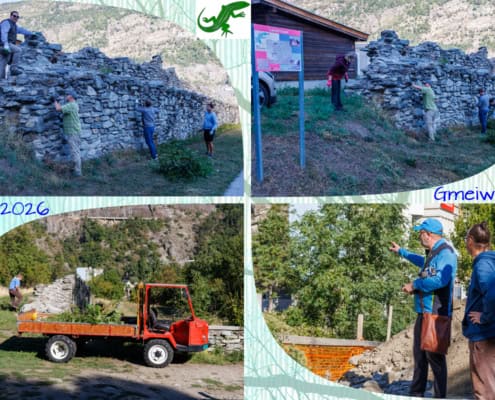 2026-09-12_Gmeiwärch Collage_003